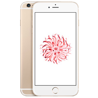 Reemplazo de pantalla/LCD de iPhone 6 Plus