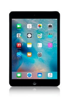 iPad mini 2